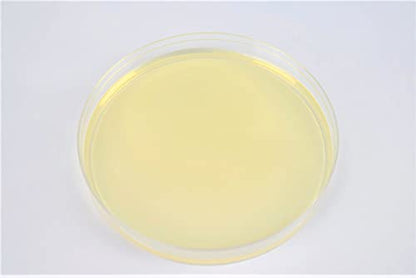 Sabouraud Dextrose Agar (SDA), (10-Pack), Pre-Poured, 15x100mm Petri Plates, for The Cultivation, Isolation and Identification of Yeasts and Molds.