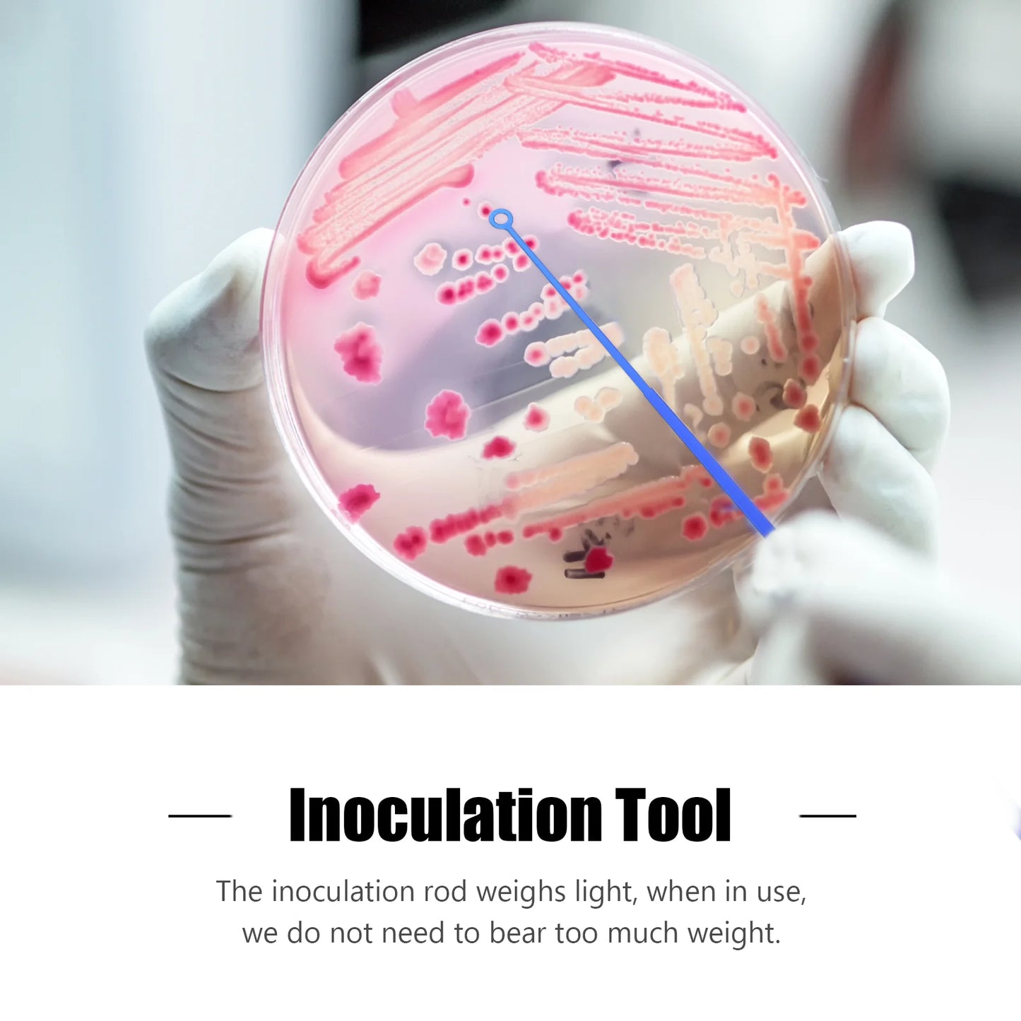 20 Pcs Inoculating Stick Inoculating Loop Supply Component Inoculation Microbiology Accessory