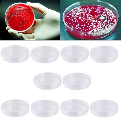 20pcs Petri Dish Set with Lids Culture for School Science Experiment Biology Microbiology Studies 60MM