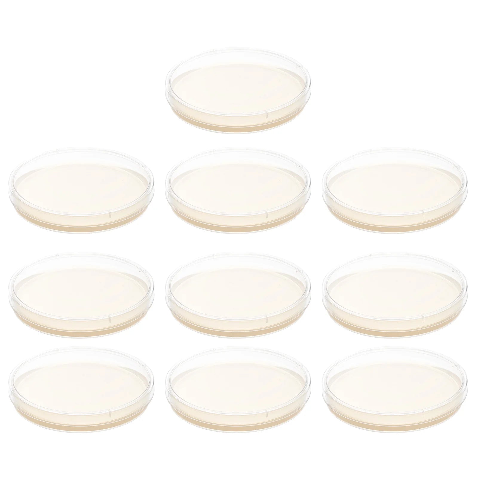 10 Pcs Top Nutrient Nutrient Tryptic Soy Agar Plate Child Kids Mushroom Cultivation Nutrient Tryptic Soy Agar Plates Poured - Lab supply international 