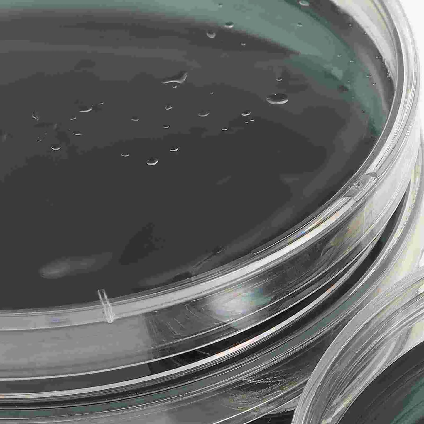 10 Pcs Toolkit Nutrient Agar Plate Mushrooms Glass Petri Dish Tissue Culture Plates - Lab supply international 