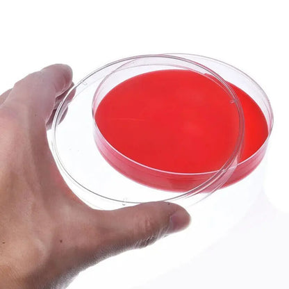 50Pcs Plastic Sterile Petri Dishes Bacteria Culture Dish with Lids 90x15mm for Laboratory Biological Scientific School Supplies - Lab supply international 