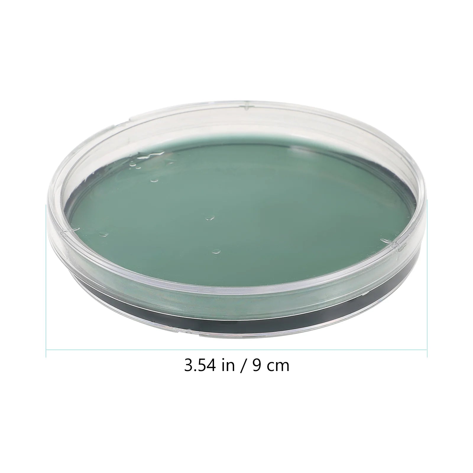 10 Pcs Toolkit Nutrient Agar Plate Mushrooms Glass Petri Dish Tissue Culture Plates - Lab supply international 