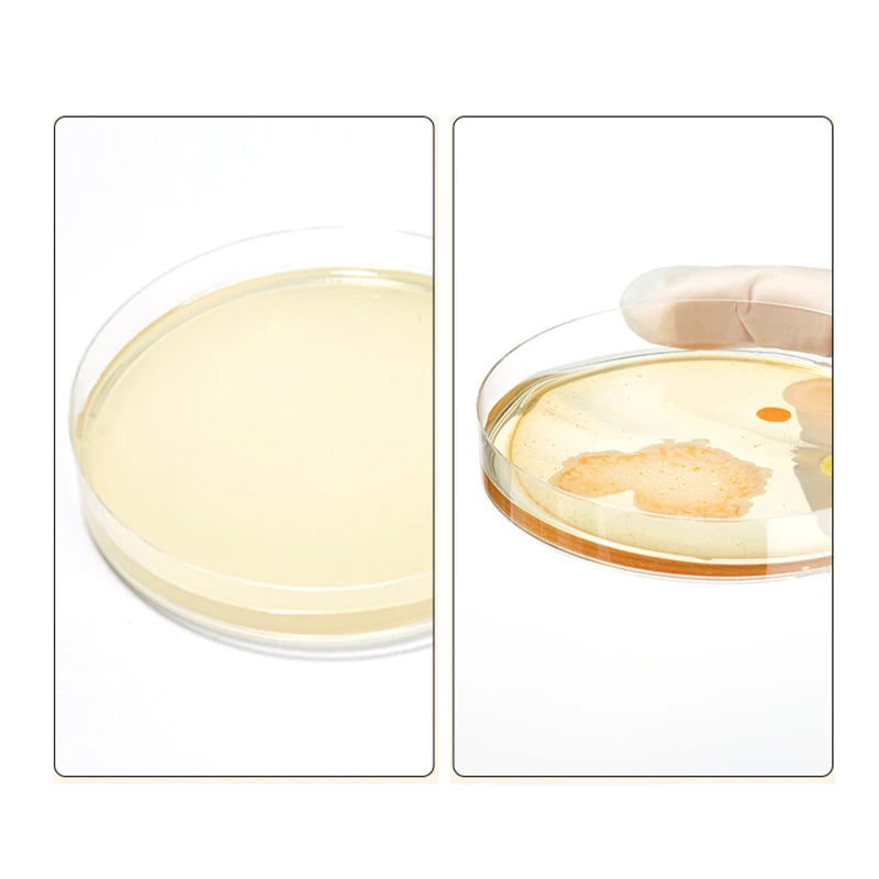 Nutrient Agar Culture Medium Plant Seedling Cultivation Bacteria Fungi 250g NA Total Bacterial Count Determination - Lab supply international 