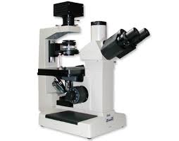 Zuzi Inverted Biological Microscope 181